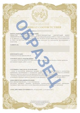 Образец Сертификат СТО 01.064.00220722.2-2020 Сыктывкар Сертификат СТО 01.064.00220722.2-2020 